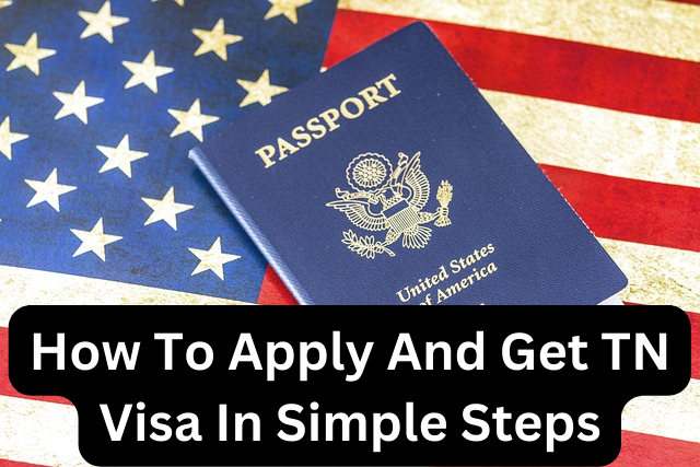 How To Apply And Get TN Visa In Simple Steps