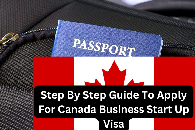 Step By Step Guide To Apply For Canada Business Start Up Visa